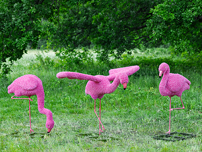 Топиари композиция фламинго, семья Малина, 3 шт - газон Eco