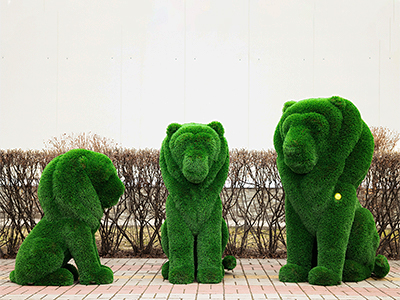 Топиари композиция львы Рикко, Томас и Сильвестр - газон Deluxe