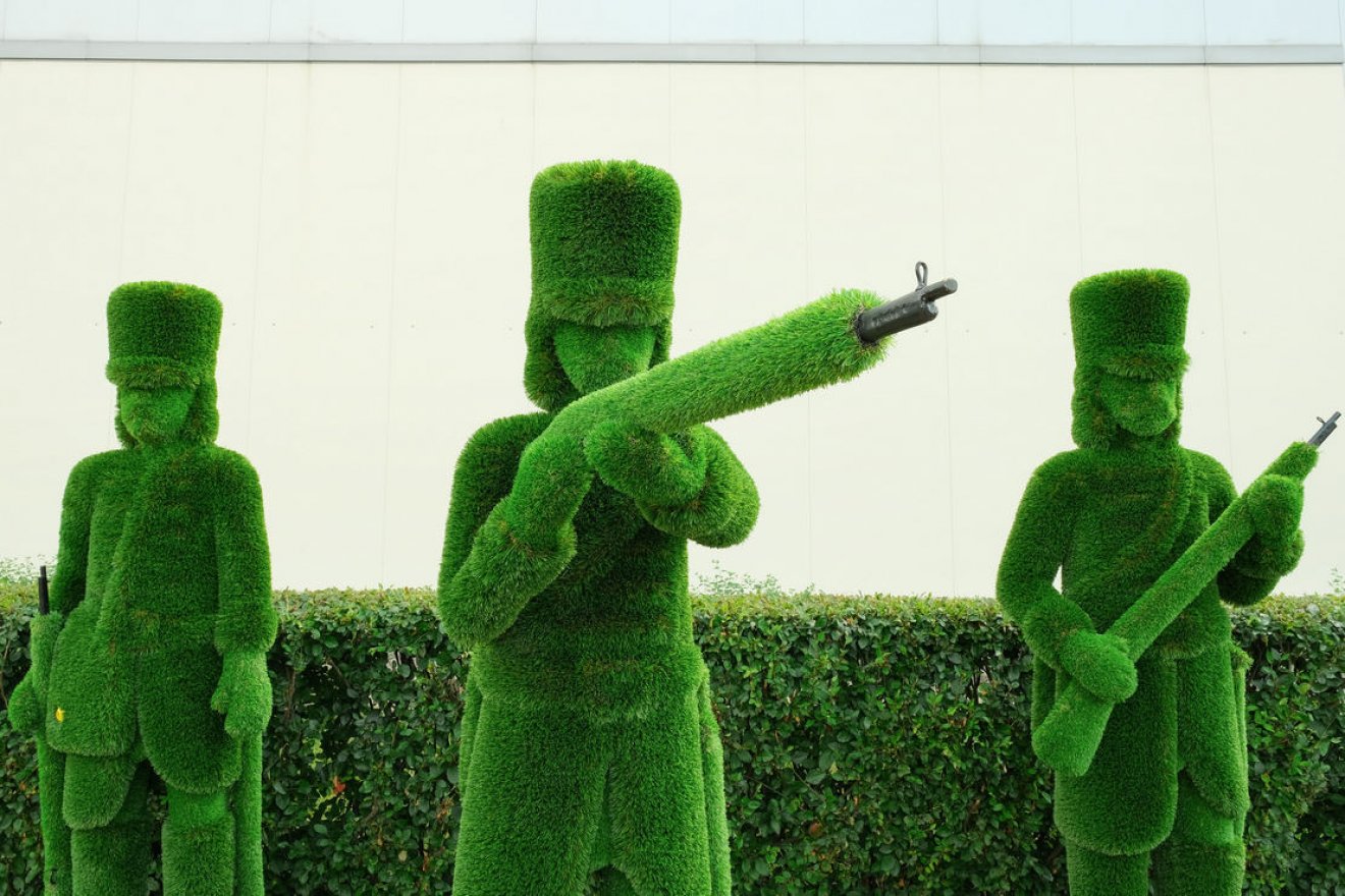 Топиари Композиция гусары - газон Deluxe - вид 3